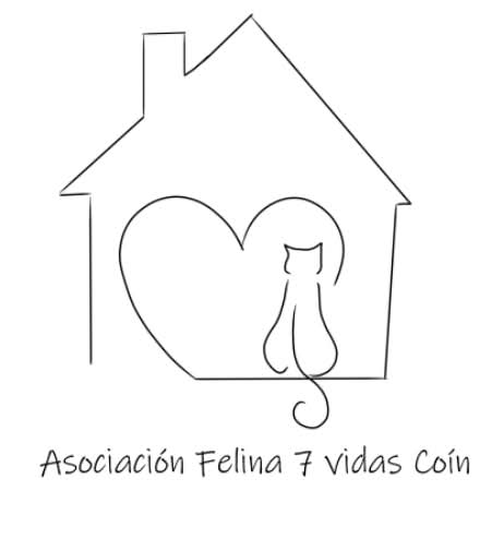 Siete Vidas de Coín: Un faro de esperanza para los felinos callejeros